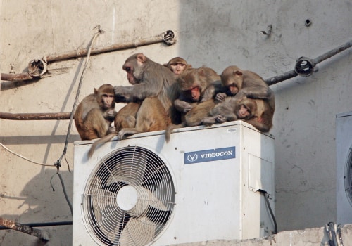 Is Air Conditioning Bad for Global Warming? A Comprehensive Look